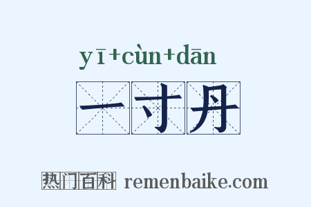 一寸丹是什么意思的图片